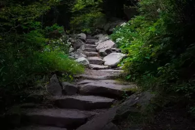 Stone Stairs on hiking trail