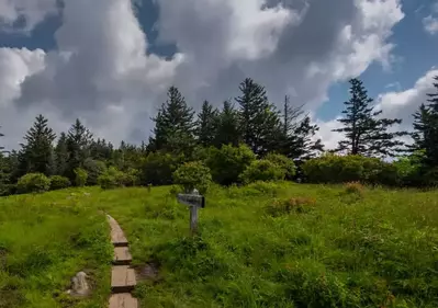 Andrews Bald in the Smoky Mountains