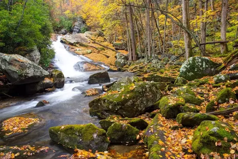 Lynn Camp Falls