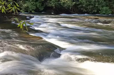 Abrams Falls Trail in Smoky Mountains