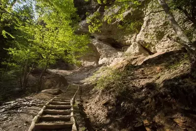 Stairs to Alum Cave Bluffs