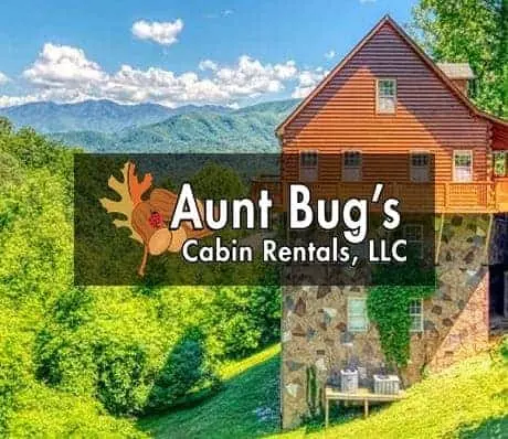 Aunt Bug's Cabin Rentals