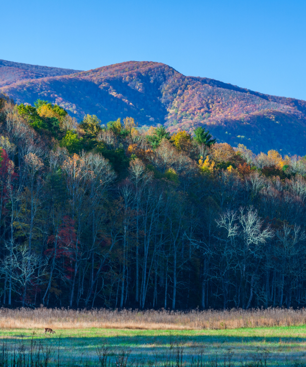 great smoky mountains