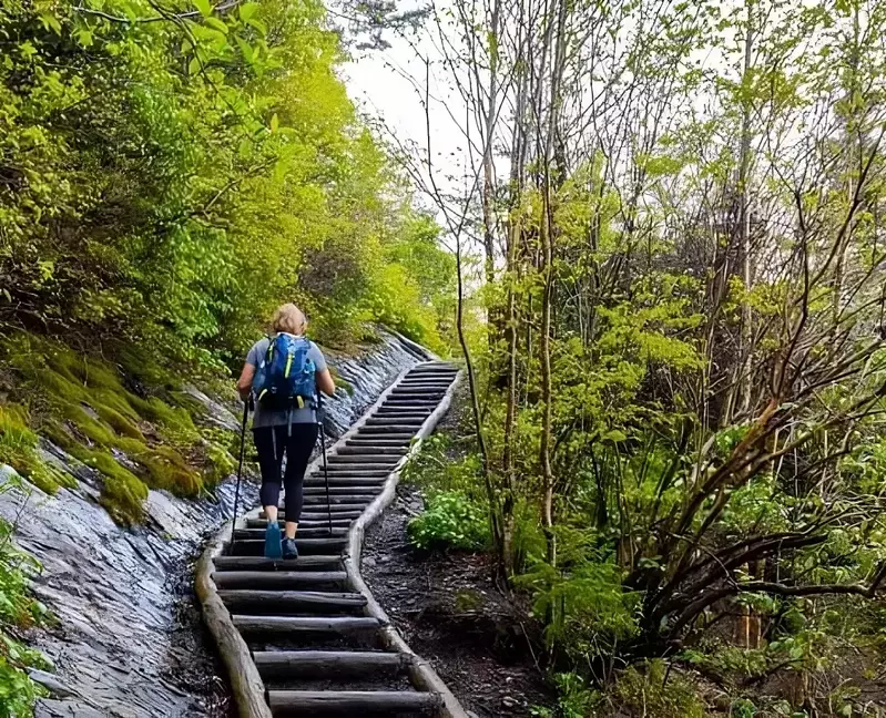 smoky mountain hikes