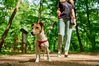 hiking in the smoky mountains with dog