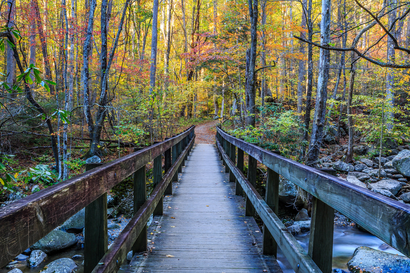 bridge along smoky mountain hiking trail