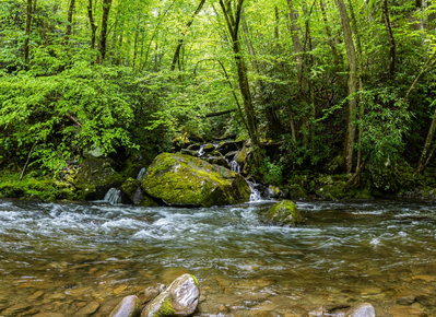 mannis branch falls