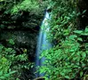 hidden waterfalls in the smoky mountains