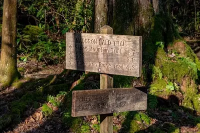 maddron bald trail sign