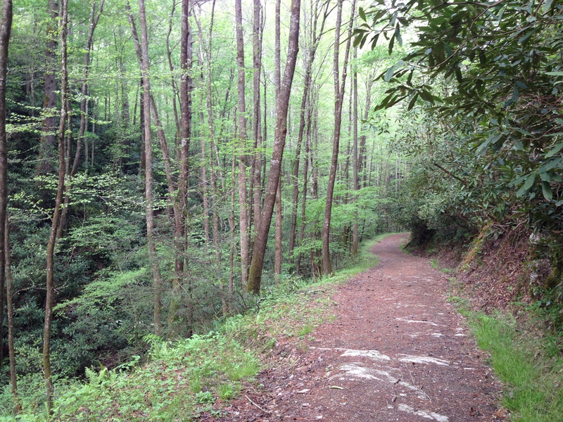 bote mountain trail to Spence field