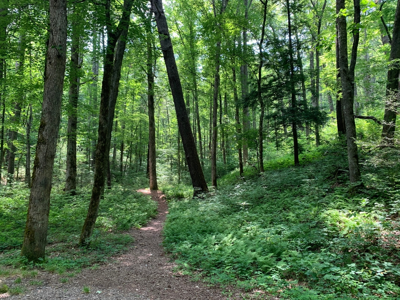 cades cove nature trail