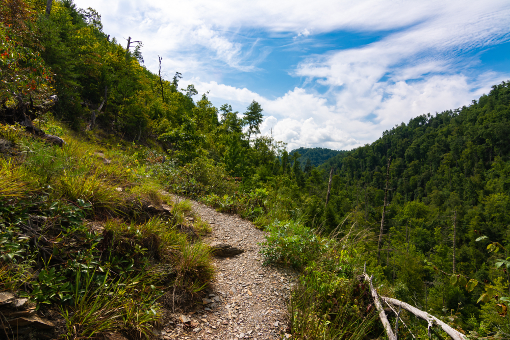 hatcher mountain trail cades cove