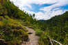 hatcher mountain trail cades cove
