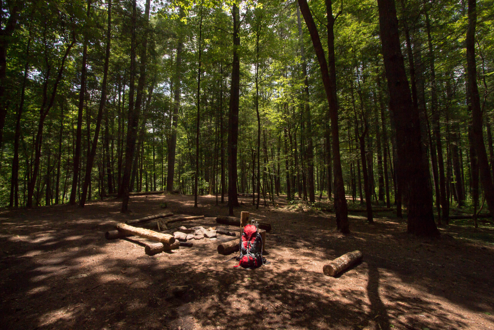 campsite woods