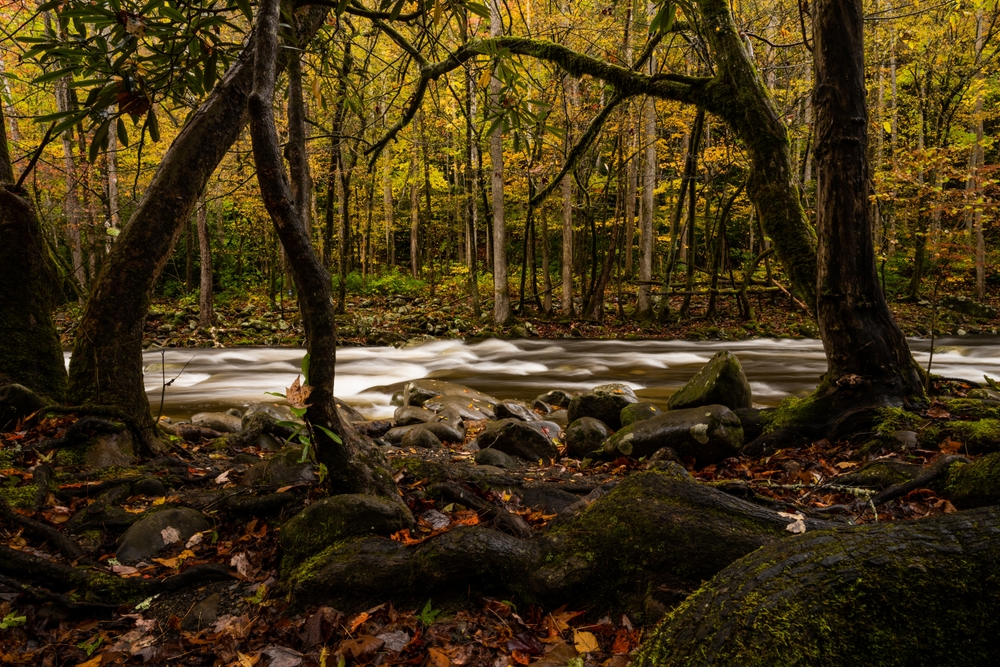 kanati fork creek