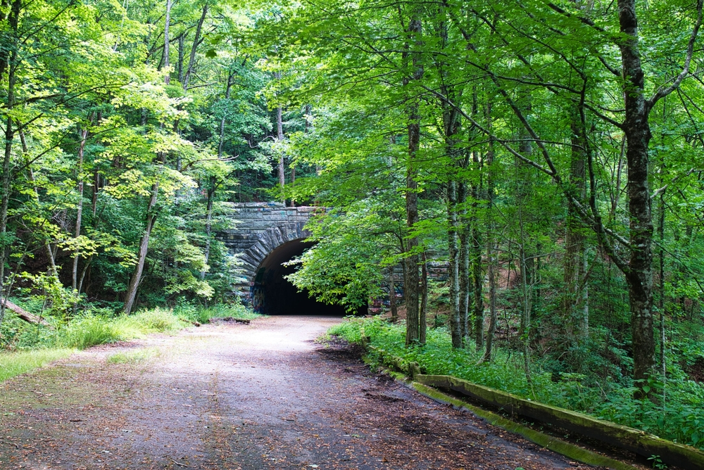 goldmine loop trail nc