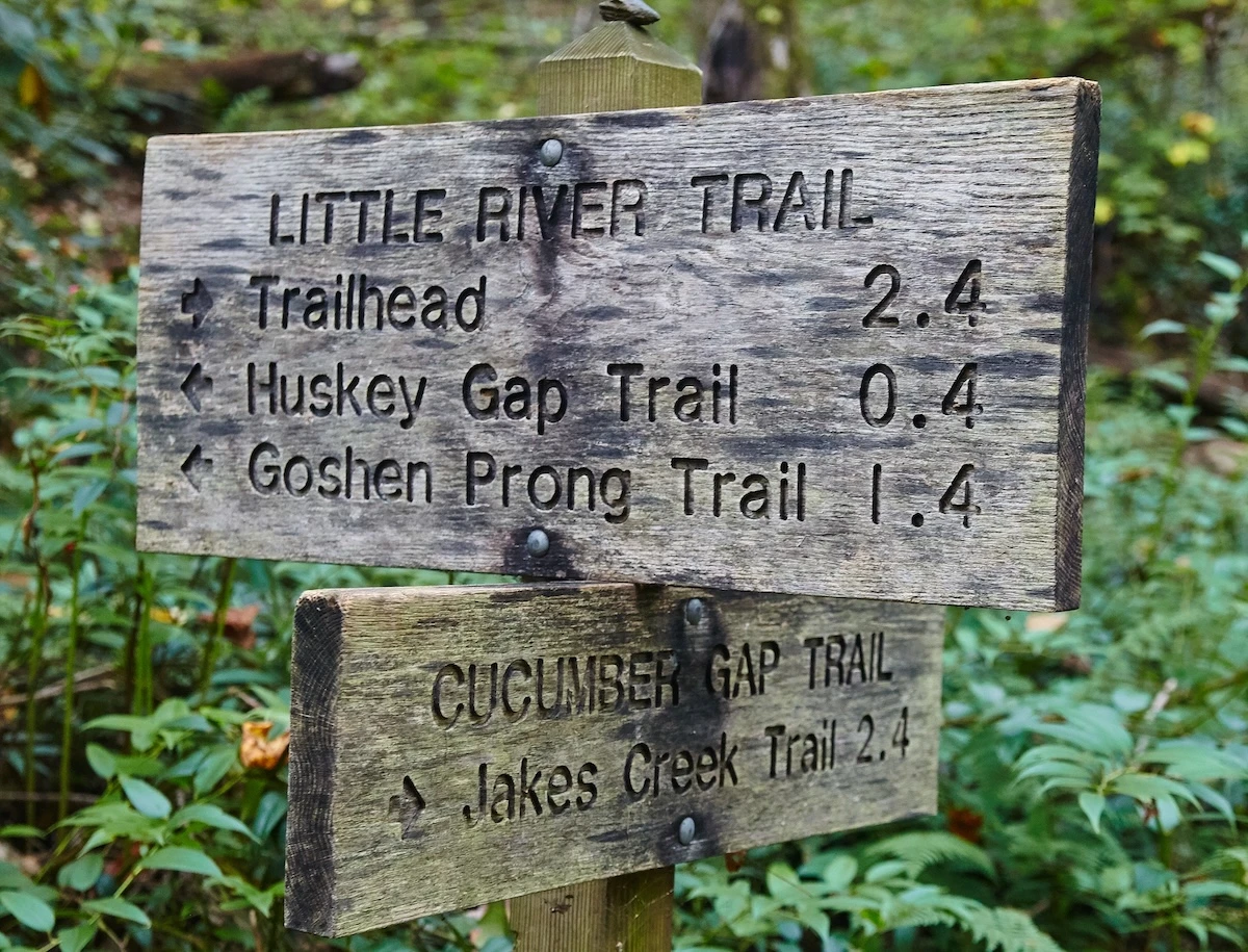 elkmont hiking trails