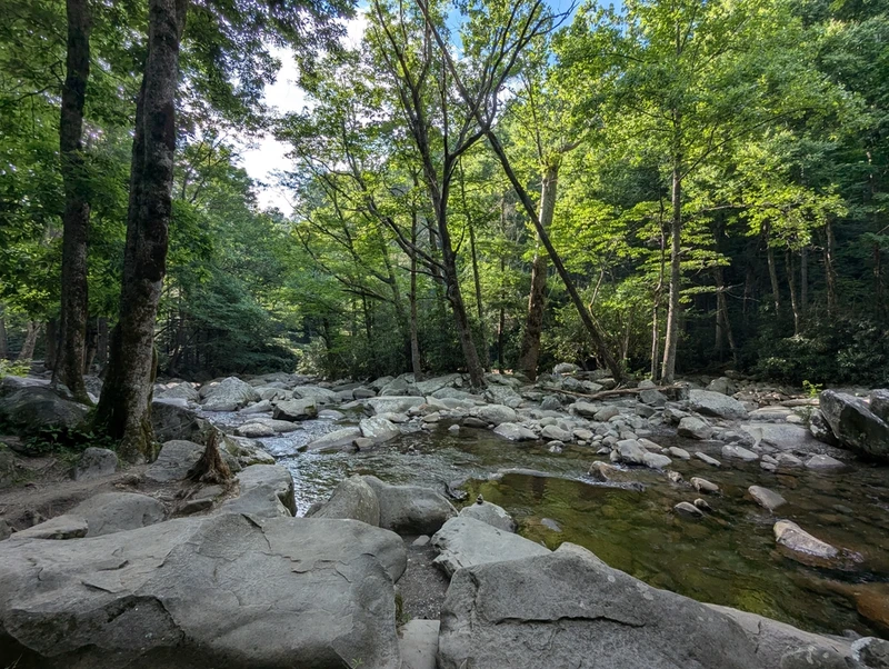 cove hardwood nature trail