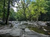 cove hardwood nature trail