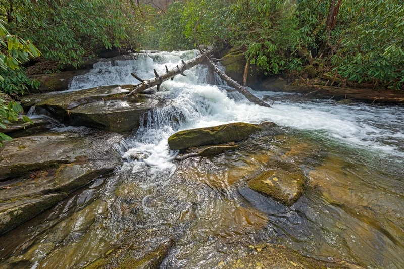 twentymile trail and cascades