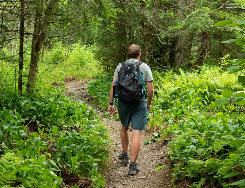 scott mountain trail