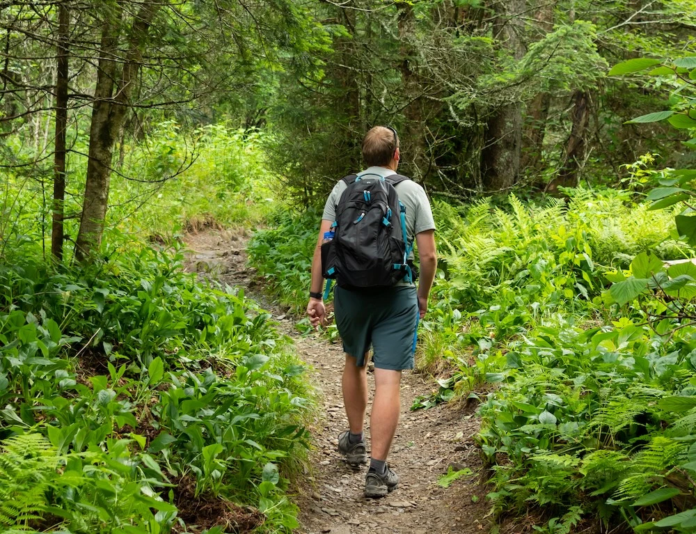 scott mountain trail