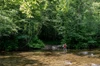 Hannah Mountain Trail near cades cove