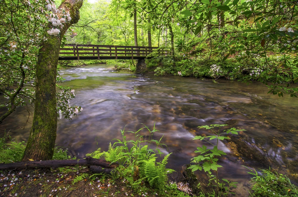 creek