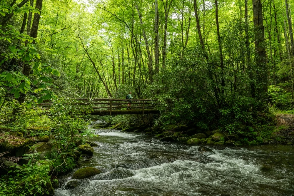 noland creek trail