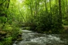 noland creek trail