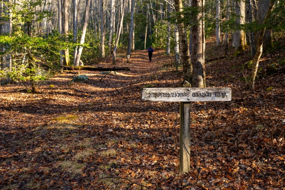 springhouse branch trail