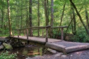 Wooden foot bridge over riber in great smoky mountains national park