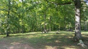 Picnic area in the woods