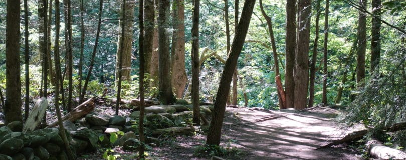 Gatlinburg trail