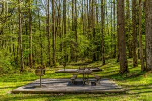 picnic table in the national park
