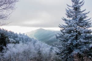 Smoky Mountains Winter 