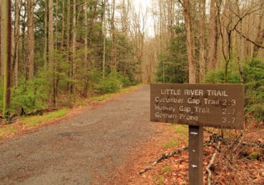 Little River Trail Sign