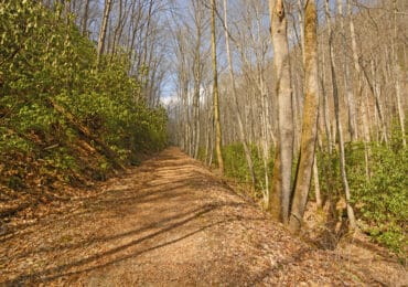 Kephart Prong Trail in the Smoky Mountains