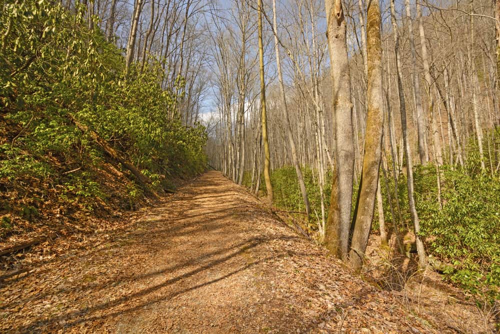 Kephart Prong Trail in the Smoky Mountains