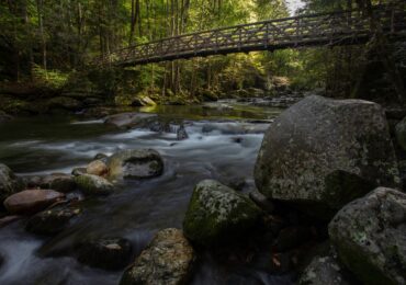 bridge crossing Big Creek in the Smoky Mountains