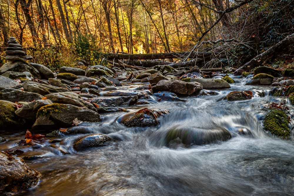 river in the smoky mountains