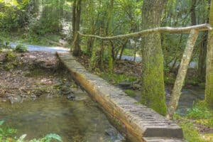 footbridge crossing over a creek in the great smoky mountains