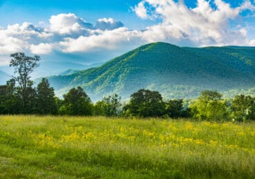 cades cove tennessee