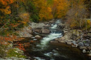 the sinks in the smoky mountains during fall