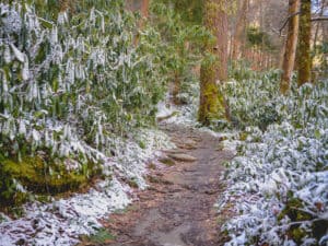smoky mountain hiking trail during winter