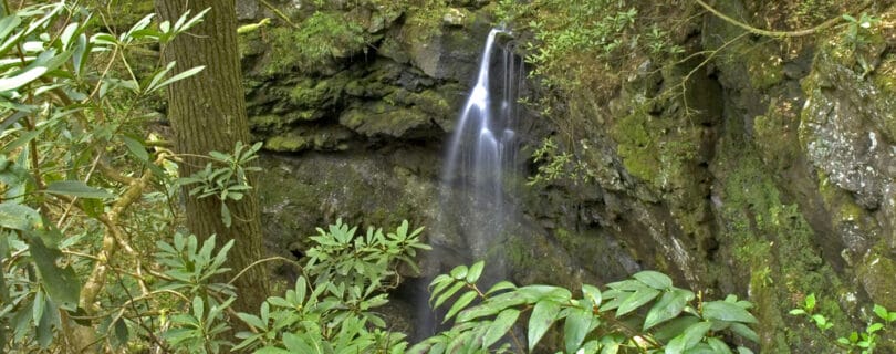 white oak sinks waterfall lesser known hiking trails in the smoky mountains