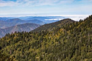 view from hike along Alum Cave Trail to Mount LeConte